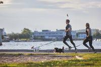 Non-Stop Dogwear Touring Bungee Leash